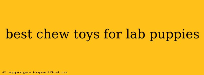 best chew toys for lab puppies