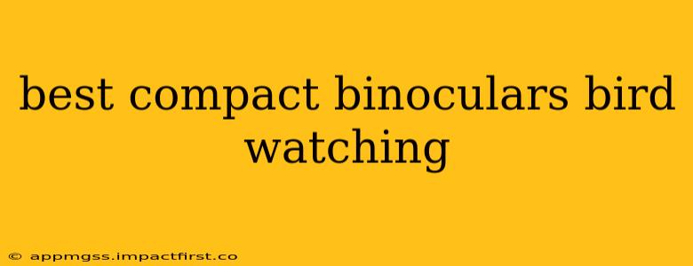 best compact binoculars bird watching