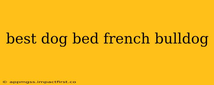 best dog bed french bulldog