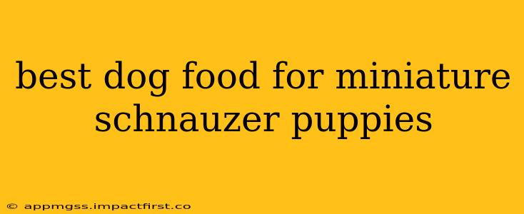 best dog food for miniature schnauzer puppies
