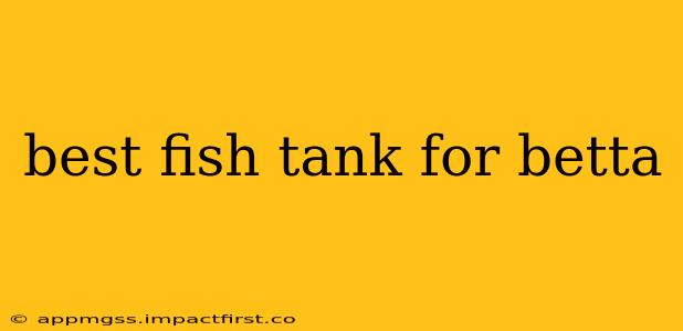 best fish tank for betta