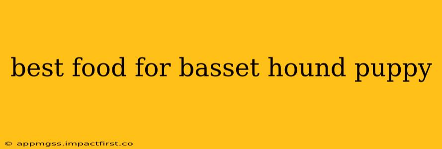best food for basset hound puppy