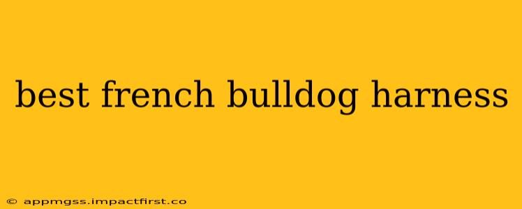 best french bulldog harness
