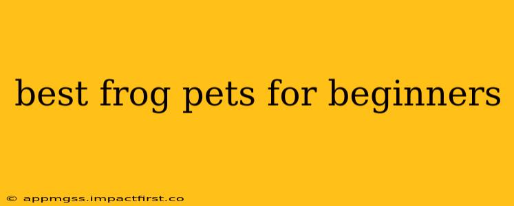 best frog pets for beginners