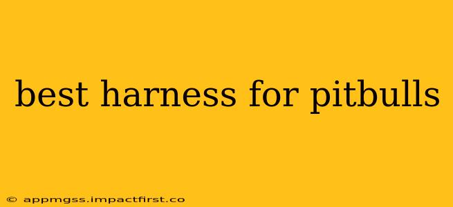 best harness for pitbulls