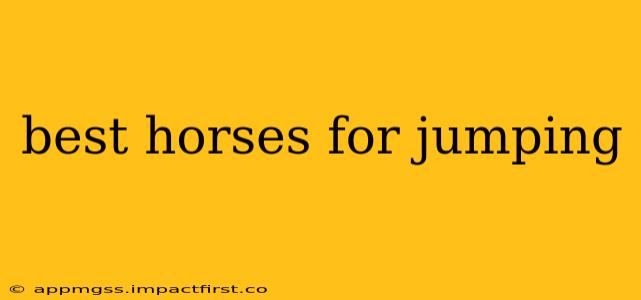 best horses for jumping