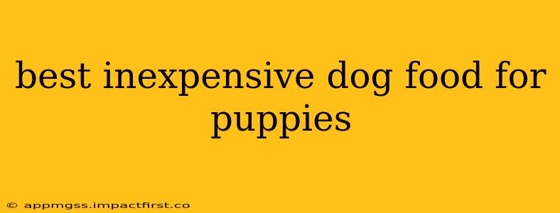 best inexpensive dog food for puppies