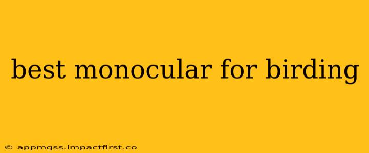 best monocular for birding