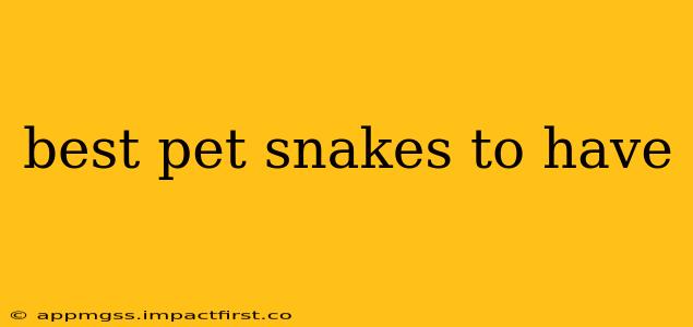best pet snakes to have