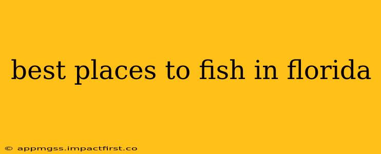 best places to fish in florida