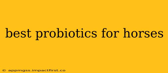 best probiotics for horses