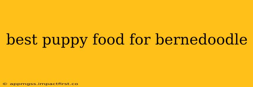 best puppy food for bernedoodle