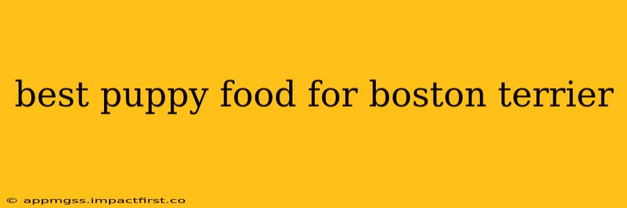 best puppy food for boston terrier