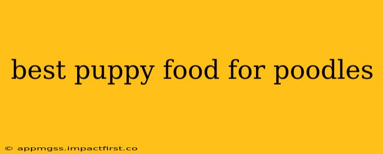 best puppy food for poodles