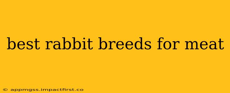 best rabbit breeds for meat