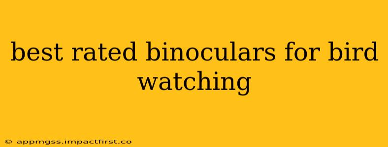 best rated binoculars for bird watching