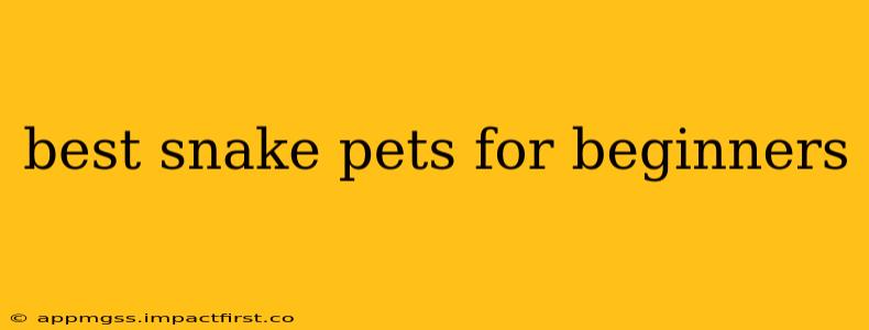 best snake pets for beginners