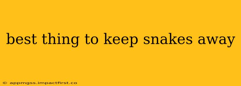 best thing to keep snakes away