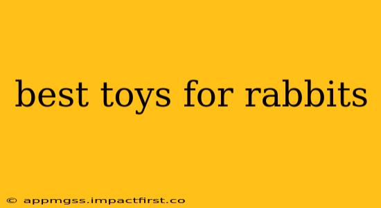 best toys for rabbits