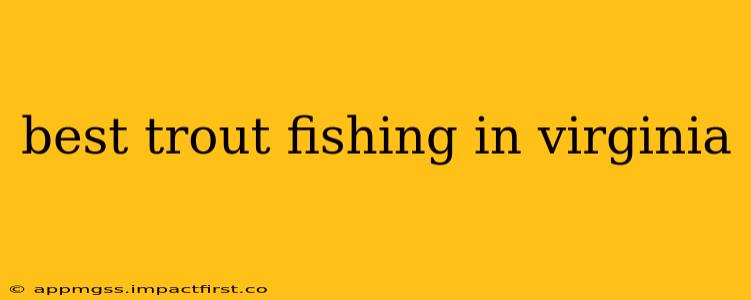 best trout fishing in virginia