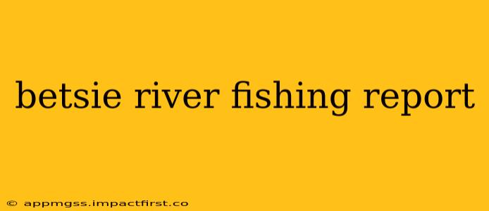 betsie river fishing report