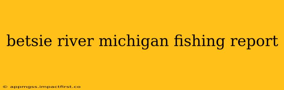 betsie river michigan fishing report