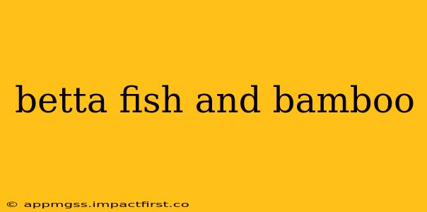 betta fish and bamboo