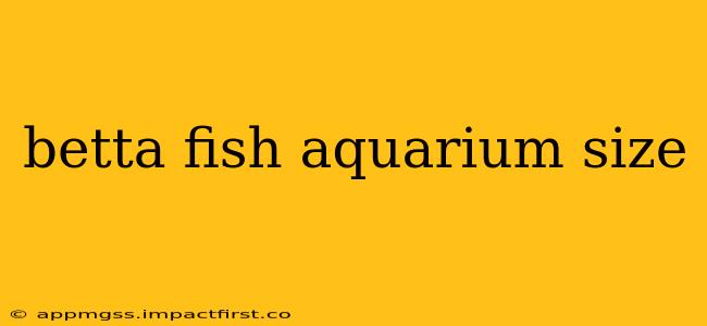 betta fish aquarium size
