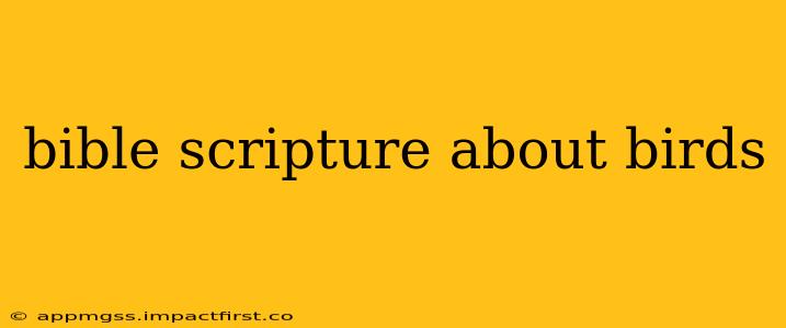 bible scripture about birds