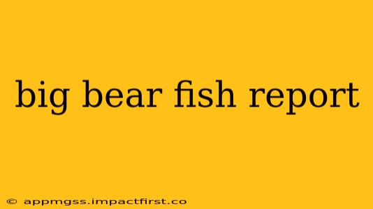 big bear fish report