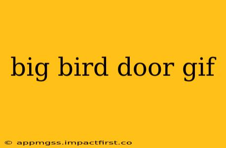 big bird door gif