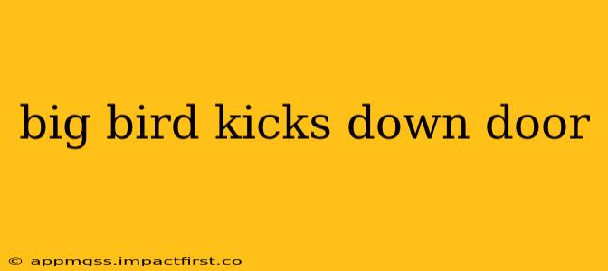 big bird kicks down door
