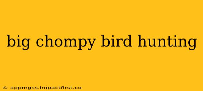 big chompy bird hunting