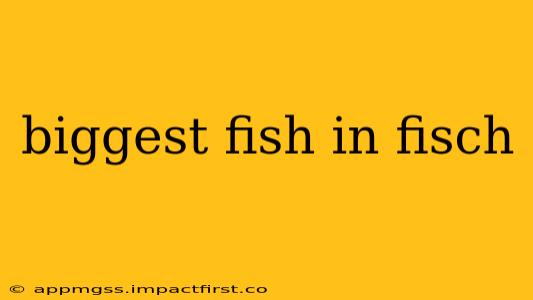 biggest fish in fisch