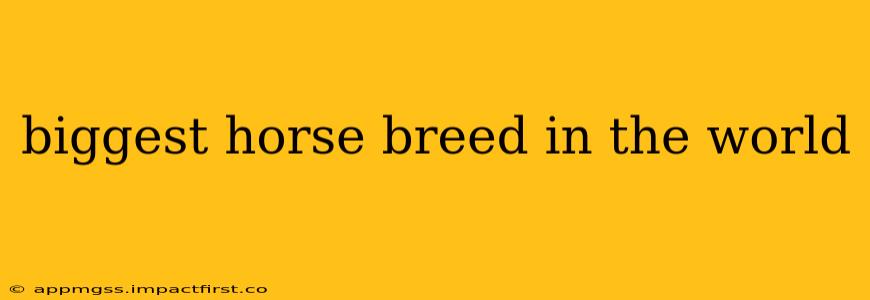 biggest horse breed in the world