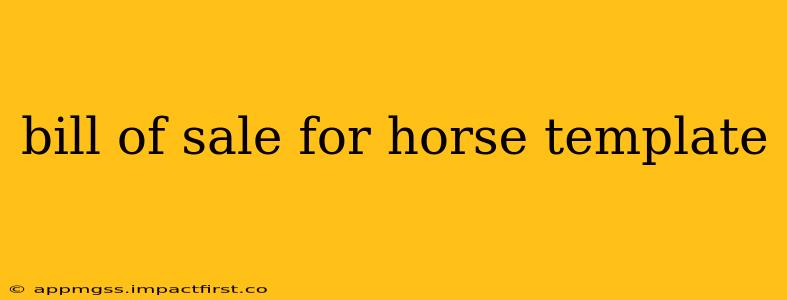 bill of sale for horse template