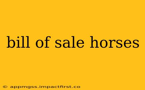 bill of sale horses