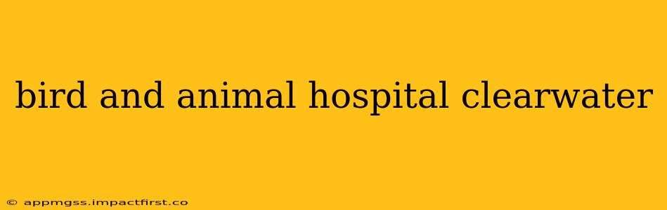 bird and animal hospital clearwater