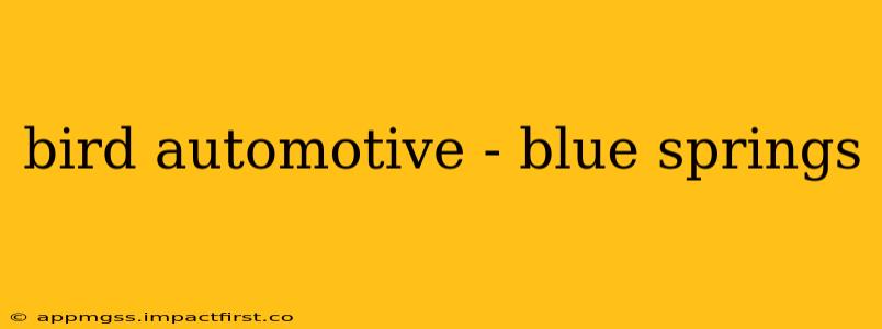bird automotive - blue springs