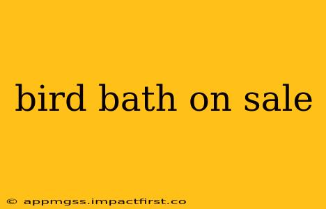 bird bath on sale