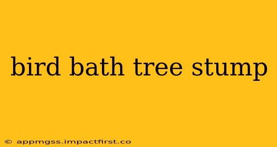bird bath tree stump