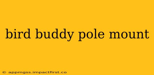 bird buddy pole mount