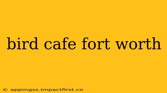 bird cafe fort worth