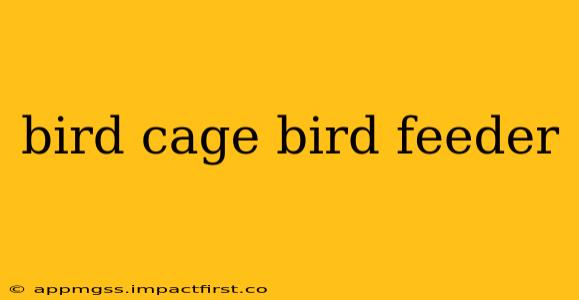 bird cage bird feeder