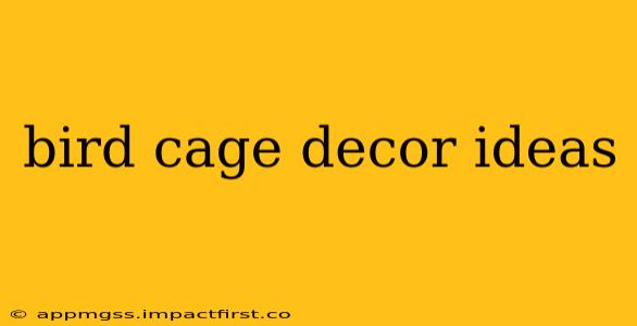 bird cage decor ideas