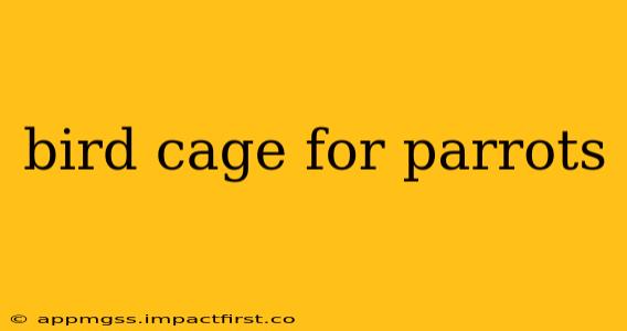 bird cage for parrots