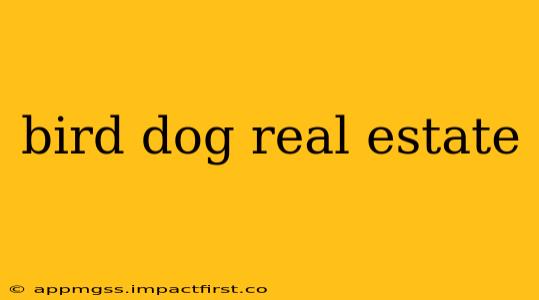 bird dog real estate