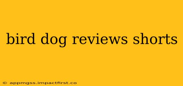 bird dog reviews shorts