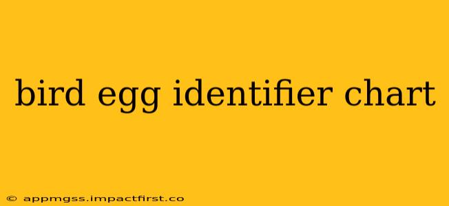bird egg identifier chart