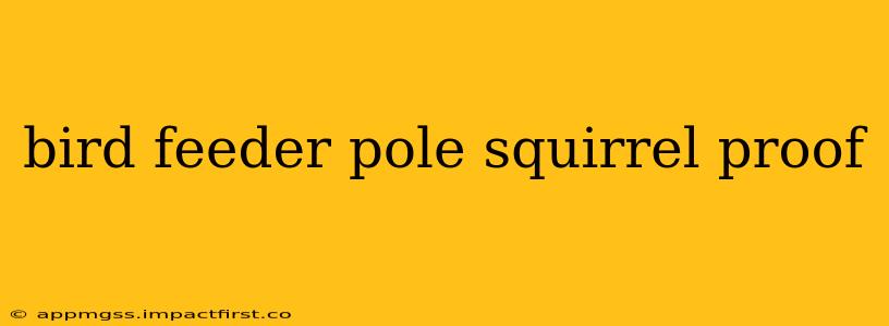 bird feeder pole squirrel proof